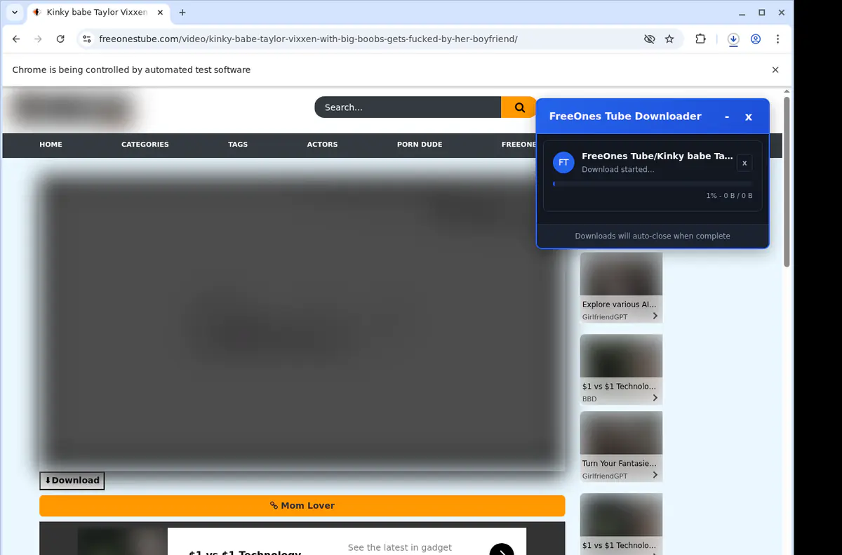 Freeonestube Video Downloader browser extension screenshot 2